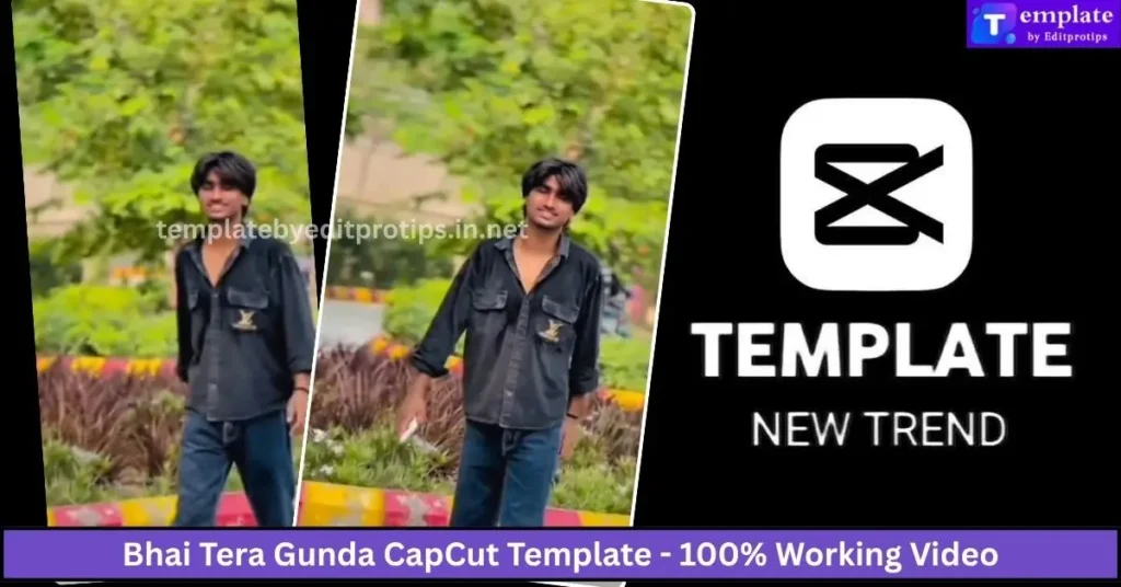 Bhai Tera Gunda CapCut Template - 100% Working Video