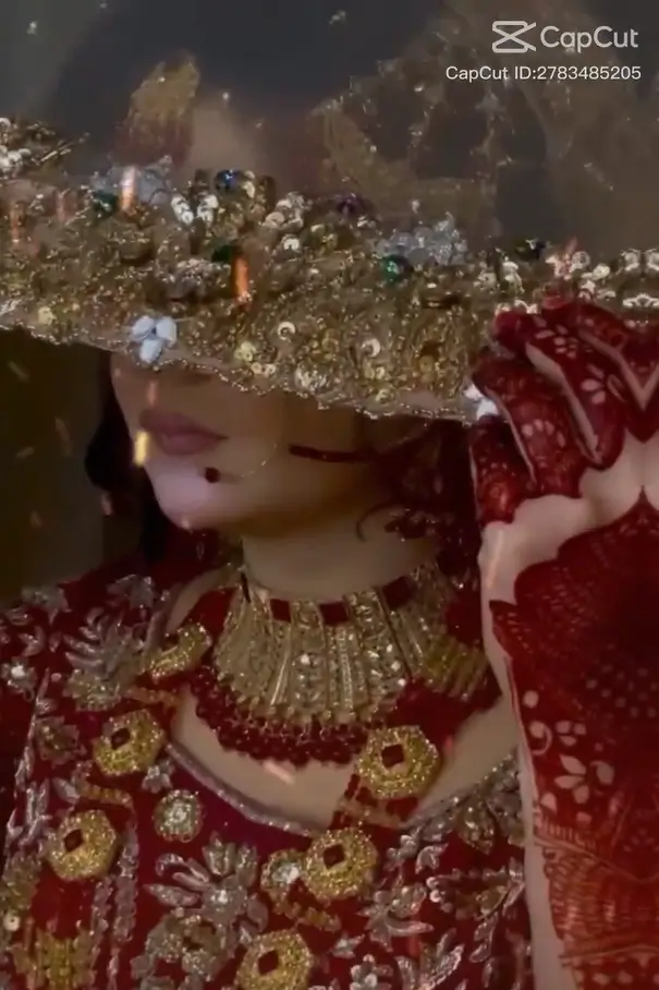 Rani tu mein raja capcut templates