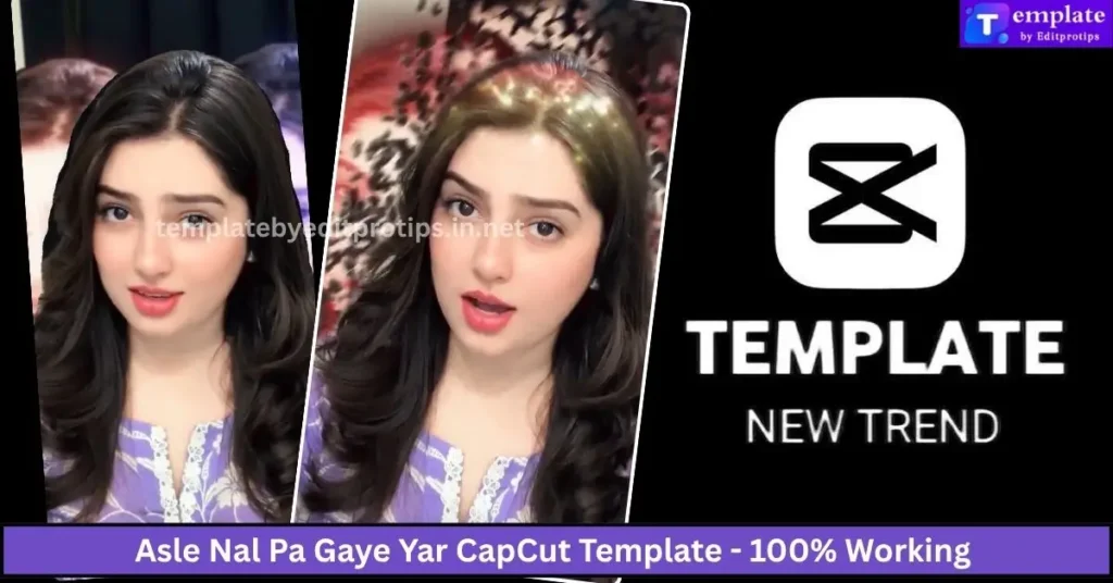 Asle Nal Pa Gaye Yar CapCut Template -100% Working
