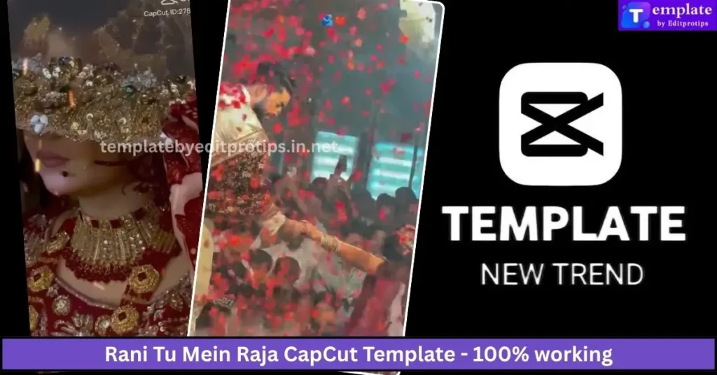 Rani Tu Mein Raja CapCut Template - 100% working