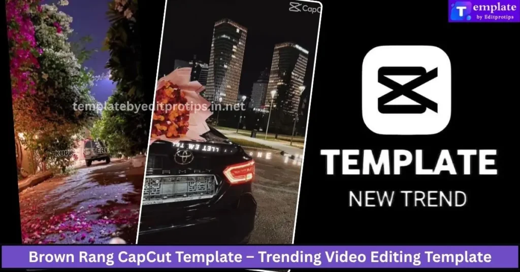 Brown Rang CapCut Template New Trend